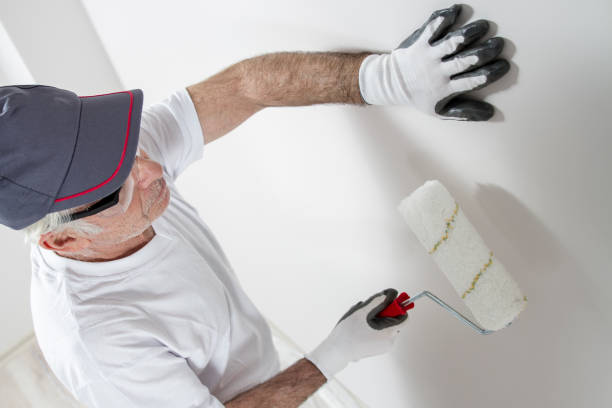 Best Forensic Mold Investigation  in Ilco, WA