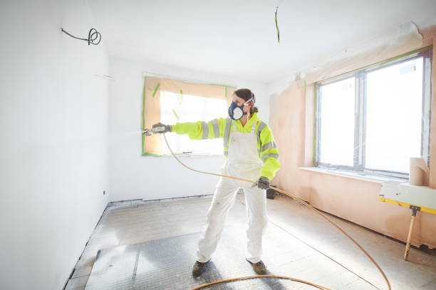 Best Mold Documentation for Insurance Claims  in Ilco, WA