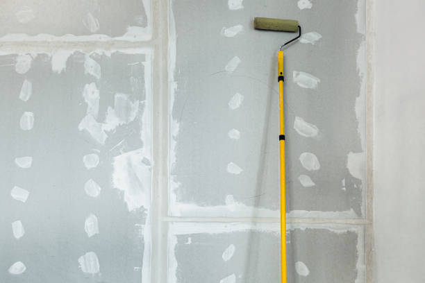 Professional Mold Removal in Ilwaco, WA