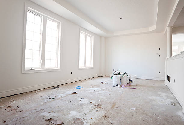 Best Black Mold Removal  in Ilco, WA