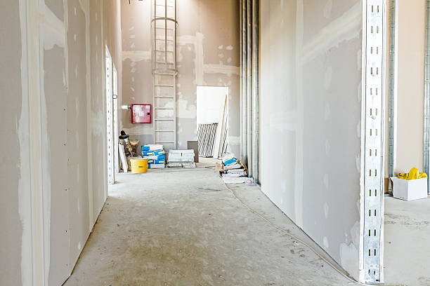 Best Asbestos and Lead Testing During Mold Inspection  in Ilco, WA