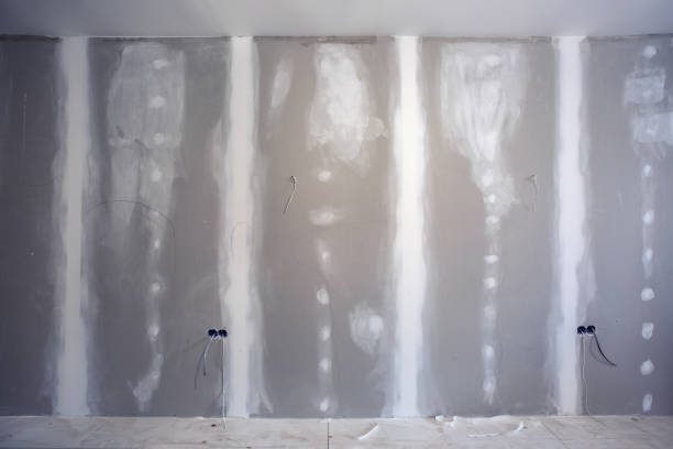Mold Odor Removal Services in Ilwaco, WA